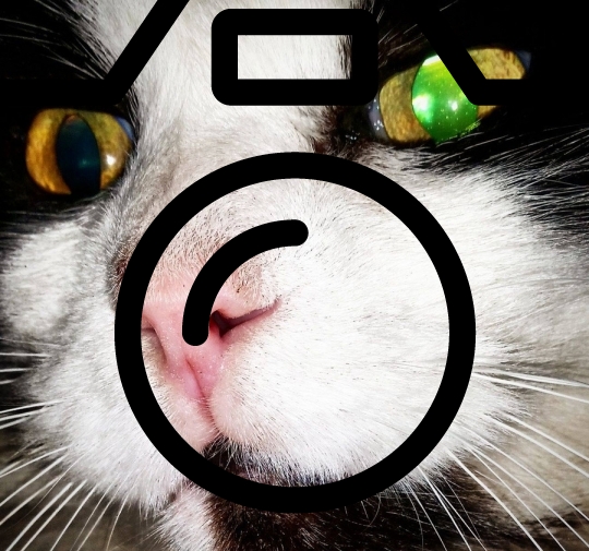 KAMIKAZE