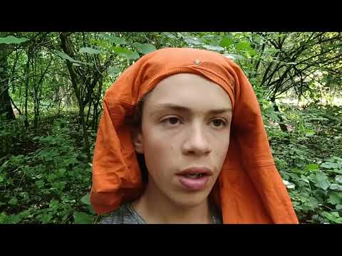 100 jours avec les gendarmes du Dove