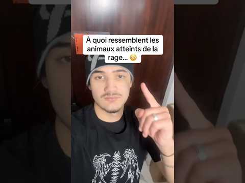 À quoi ressemblent les animaux atteints de la rage…. 😦 #shorts