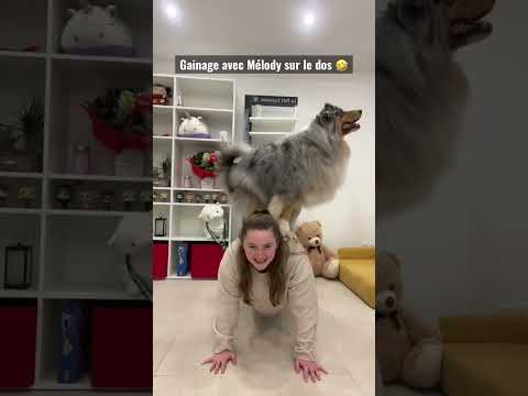 À vous de jouer !! 🤣 #chien #animal #dogdance