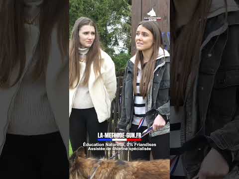 Agressivité chien/humain : sortir du conflit sans friandise s