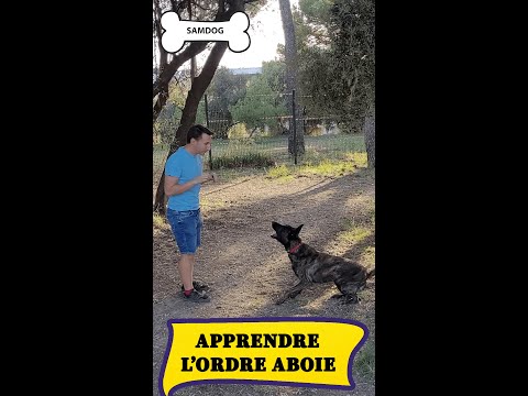 APPRENDRE L'ORDRE ABOIE