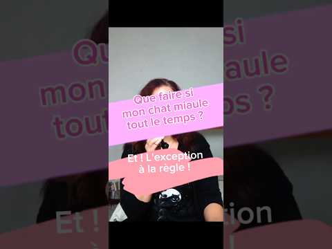 Astuces quand mon chat miaule toute la nuit @DelphineOules