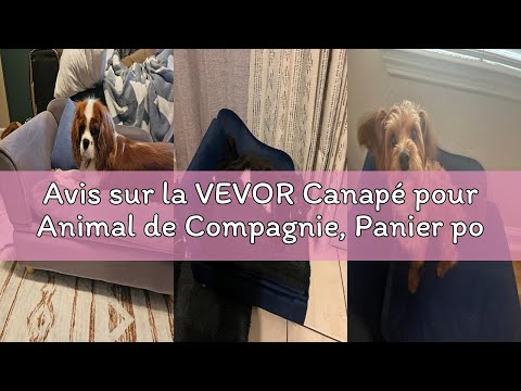 Avis sur la VEVOR Canapé pour Animal de Compagnie, Panier pour Chien de Taille Moyenne et Chat, cana