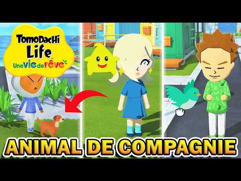 AVOIR UN ANIMAL DE COMPAGNIE 🐶 ( Chien, Chat, Oiseau ) | Tomodachi Life : Une Vie de Rêve