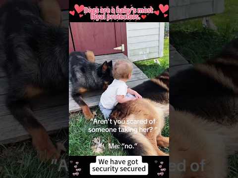 Baby’s loyal protector #love #doglove #dog #baby