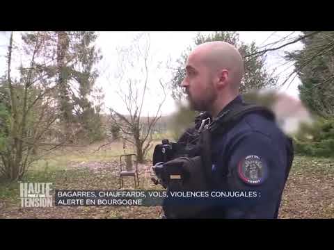 Bagarres, chauffards, vols, violences conjugales   Alerte en Bourgogne !