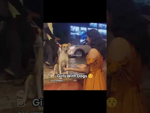 Bhaichara on top☠️…#memes #memesdaily #dog #animals #pets #funny #savage