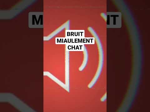 BRUIT MIAULEMENT CHAT #bruitage #montage #son #sound