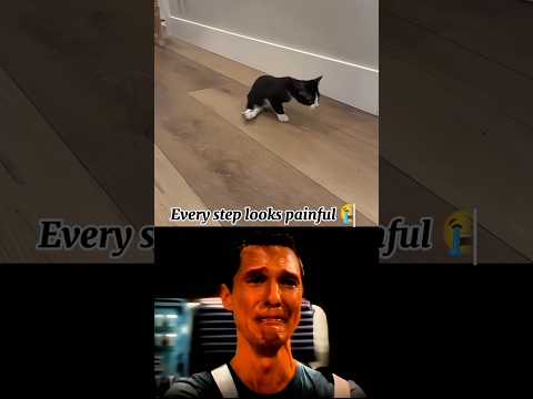 Cat sad moments 😥(pt-108)#pets #shorts