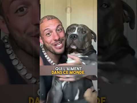 Ce chien a une histoire très triste..