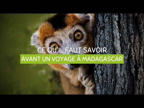 Ce qu'il faut savoir avant de partir à Madagascar