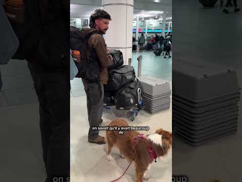 C’est parti pour notre nouvelle vie #chien #aventure #voyage #animaux