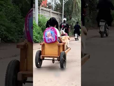 Cette fille est récupérée par son chien tous les jours 😯❤️