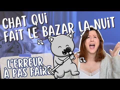 chat qui miaule toute la nuit 👉🏻 comment arrêter ça ?
