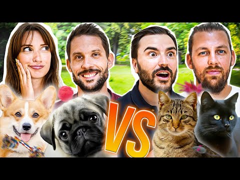 Chat VS Chien : Quel est le meilleur animal ?