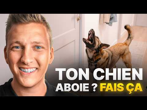 Chien Aboie : Méthode Simple et Efficace