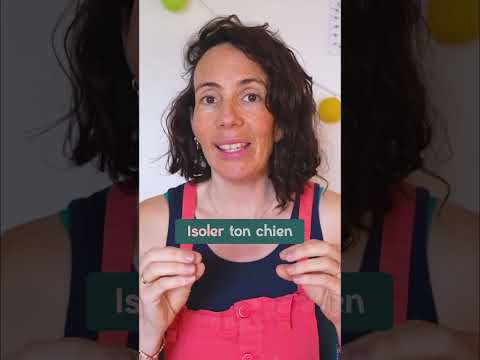 Chien mordeur : Isolez-le !