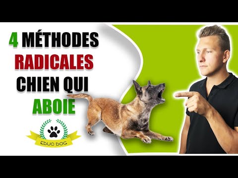 Chien qui aboie : comment faire ?