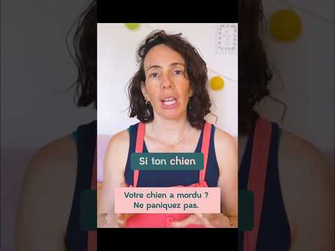 Chien qui mord : ne paniquez pas #chien #chienreactif
