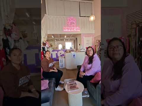 Collaboration avec la boutique, Coffee shop pour chien : TOUT POUR MY TOUTOU🐶 à Sète !