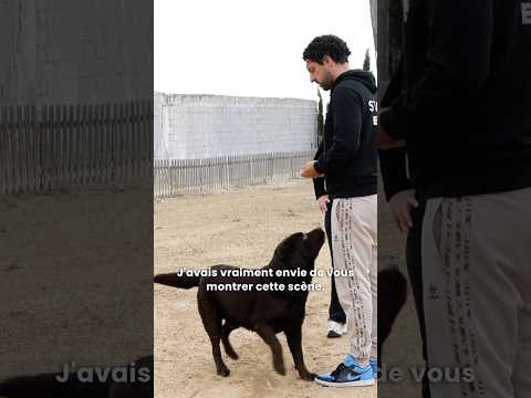 Comment a-t-il pu faire ça à son chien ?! 😱😰