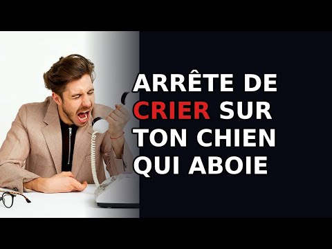 Comment réagir quand ton chien aboie sur un invité à la maison