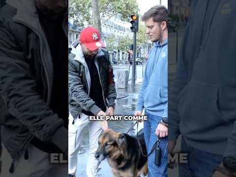 Comment VRAIMENT rassurer votre chien avec votre voix ft. @RomainLanéry