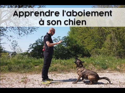 Cynotech – Apprendre l'aboiement à son chien