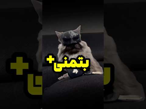 بتمنی😹 #cat #بتمن #بتمنی #گربه #pets