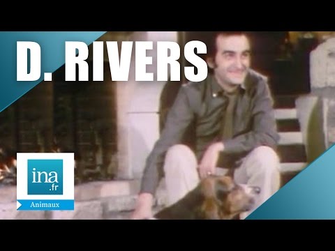 Dick Rivers "Mon chien aboie quand je chante" | Archive INA