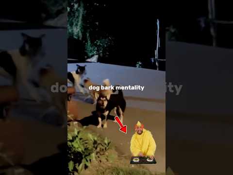 Dog Bark Mentality