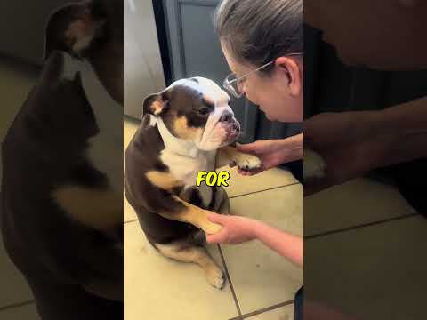 Dog LOVES Mama 🥰