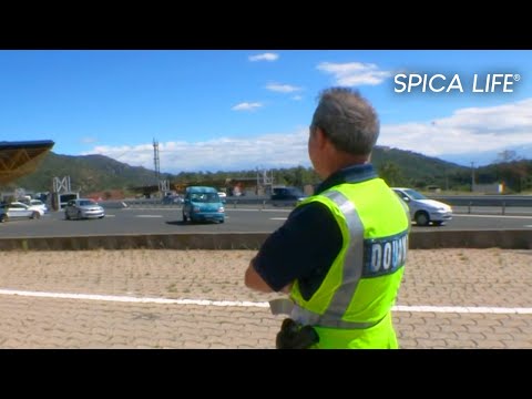 Douane aux frontières : mission sous haute tension contre les narcos