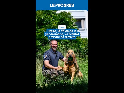 Drako, le chien de la gendarmerie, va bientôt prendre sa retraite