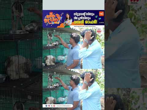 തുടയെല്ല് ഓടിഞ്ഞ് പുറത്ത് വന്നു | ANIMAL RESCUER FAIZAL INTERVIEW PART 2