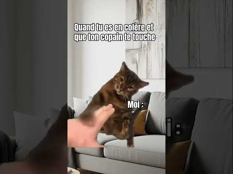 😾 Quand je suis en colère et qu’il ose me toucher…