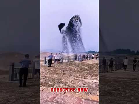 fish amazing #tiktok #viral  #short #trending #youtubeshorts