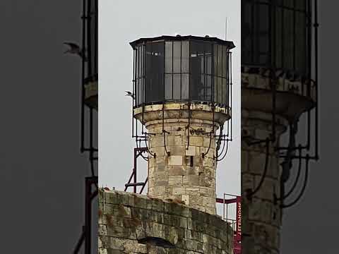 FORT BOYARD ET LA TOUR DU PERE FOURAS