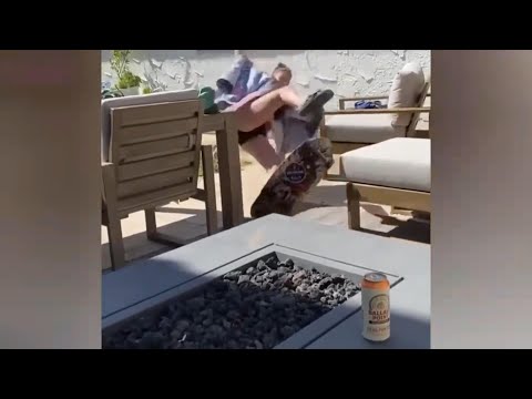 Funny Girl Fails | Girl Fails Compilation | Girl Fails 2025