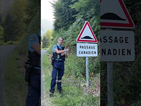 Gendarme affecté dans une des plus petites brigades de France ⛰️ ! #gendarme #gendarmerie #montagne