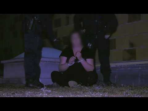 Gendarmes de Campagne : Actions et Enquêtes en Sologne