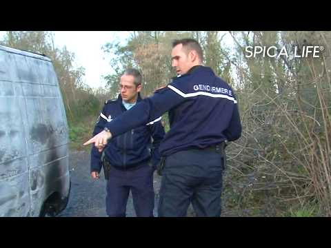 Gendarmes de Gironde : au front face aux nouvelles menaces