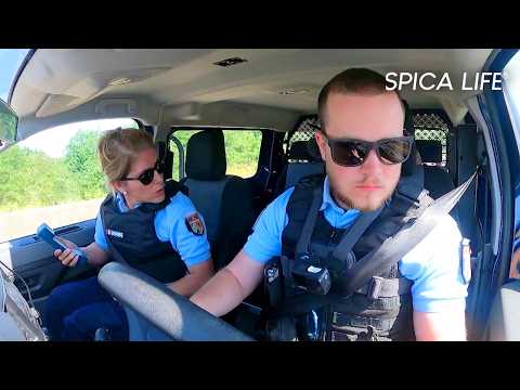 Gendarmes, patrouilleurs : danger sur les routes d'Alsace