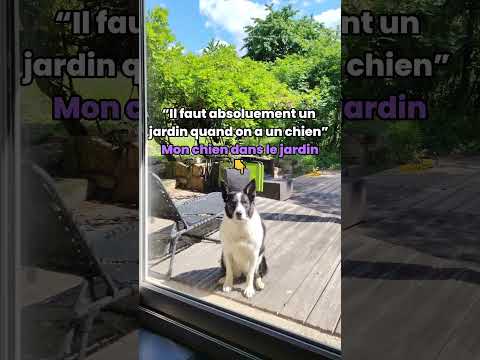 “Il faut absolument un jardin quand on a un chien” — mon chien dans le jardin