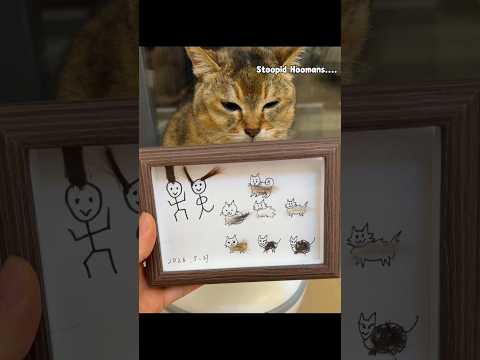 is this creative or weird….. #shorts #pets #cat #shibainu