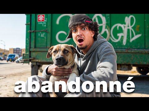 J'AI ADOPTÉ UN CHIEN ABANDONNÉ (dans mon appartement..)
