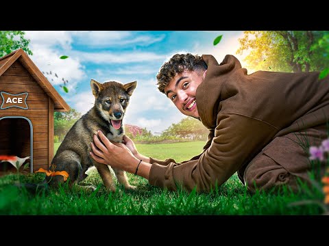 J’ai adopté un chien (il est trop mignon…) ft. Ace
