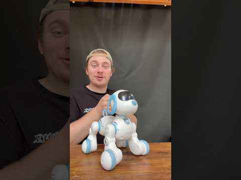 J’AI LE CHIEN ROBOT LE PLUS CHÈRE AU MONDE