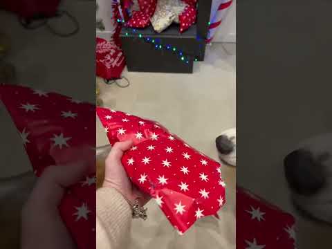Jour 2 du calendrier de l’avent de mes chiens #animal #chien #noel